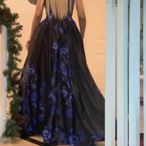 Alice in wonderland Gown